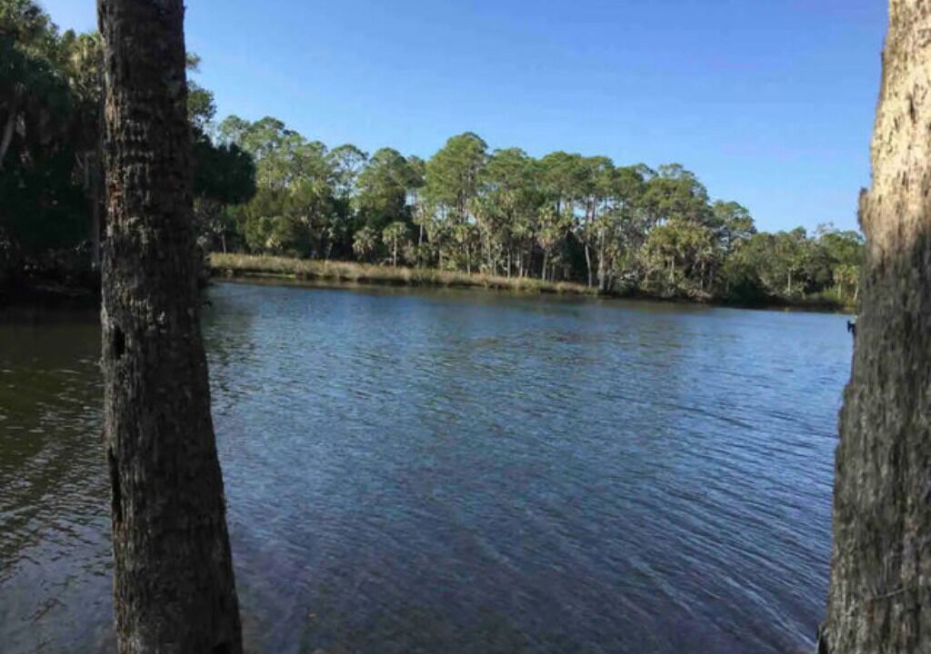 Photo of Outdoor in Weeki Wachee Gardens