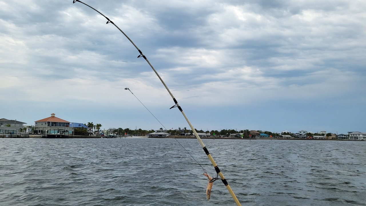 Photo of Others in Hudson Beach Estates