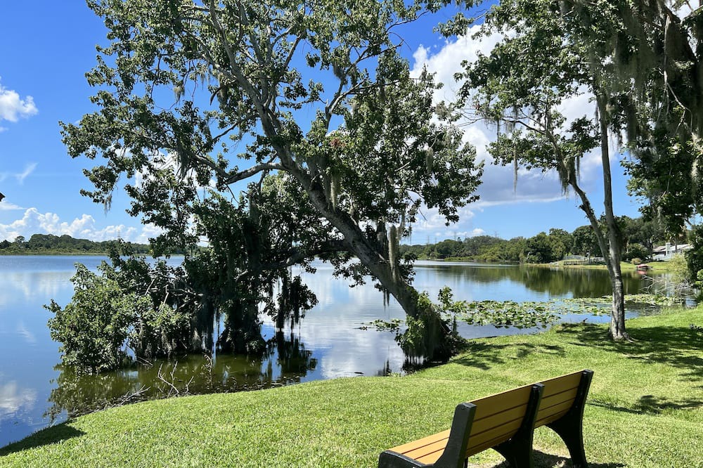 Photo of Outdoor in Lake St. George