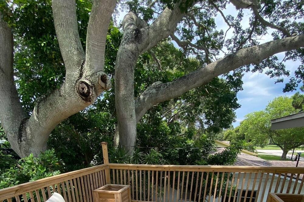 Photo of Patio Balcony in Greater Pinellas Point