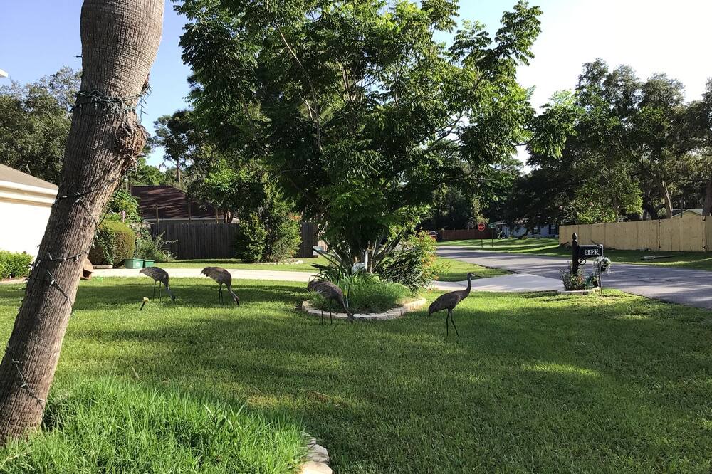 Photo of Outdoor in Spring Hill