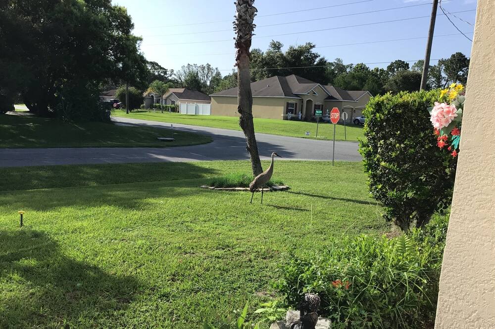 Photo of Outdoor in Spring Hill