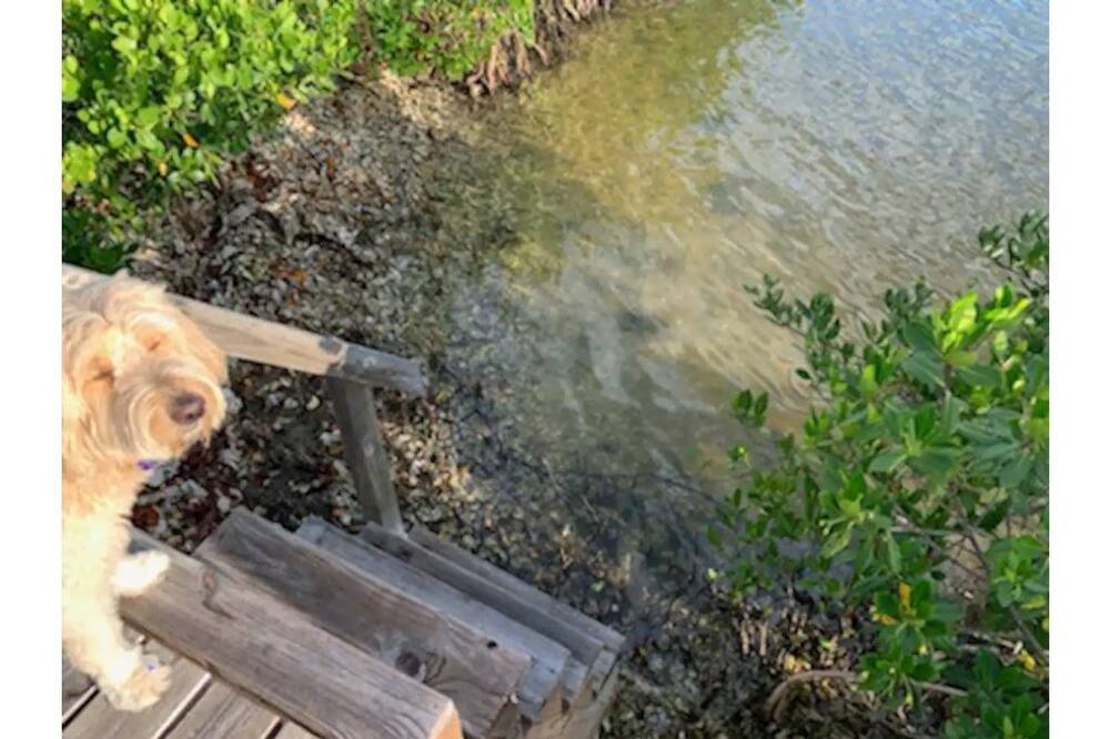 Photo of Outdoor in Edgewater