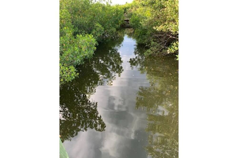 Photo of Outdoor in Edgewater