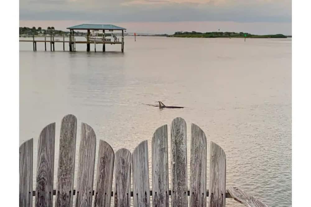 Photo of Others in Edgewater