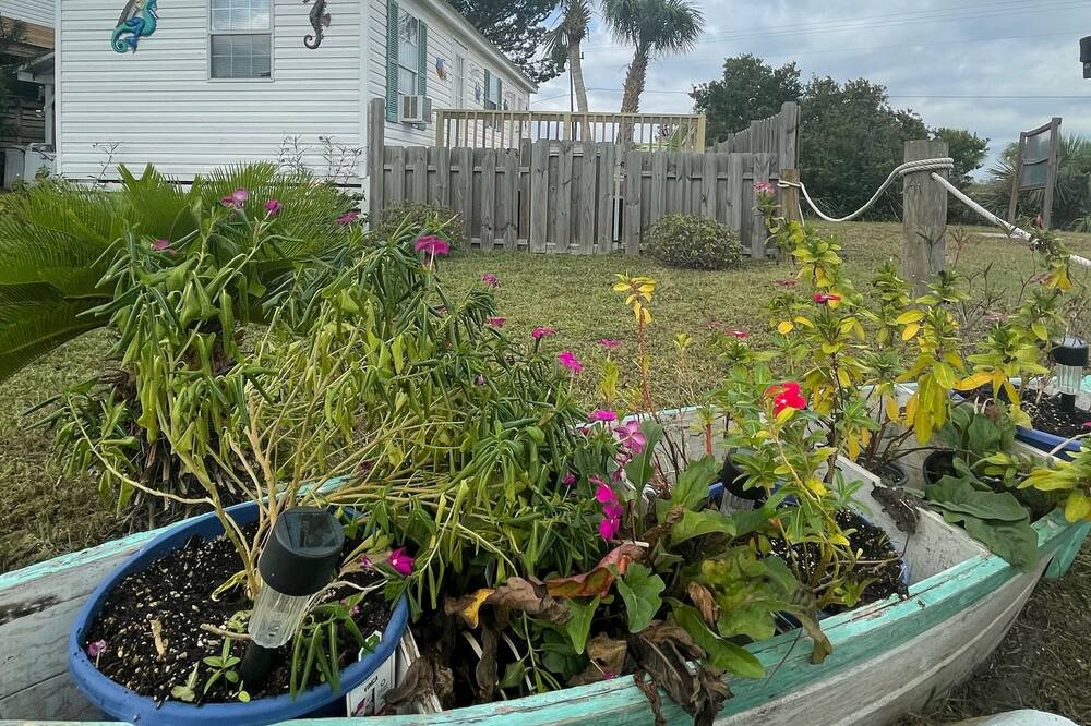 Photo of Others in Suwannee