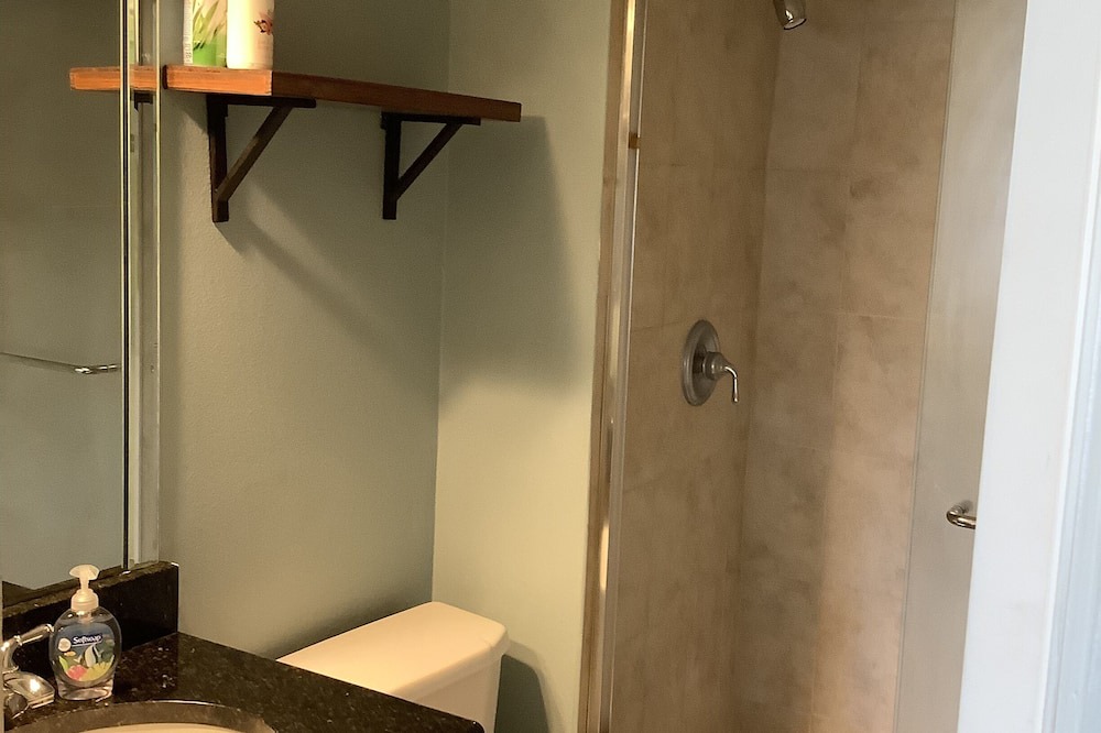 Photo of Bathroom in Downtown Dunedin