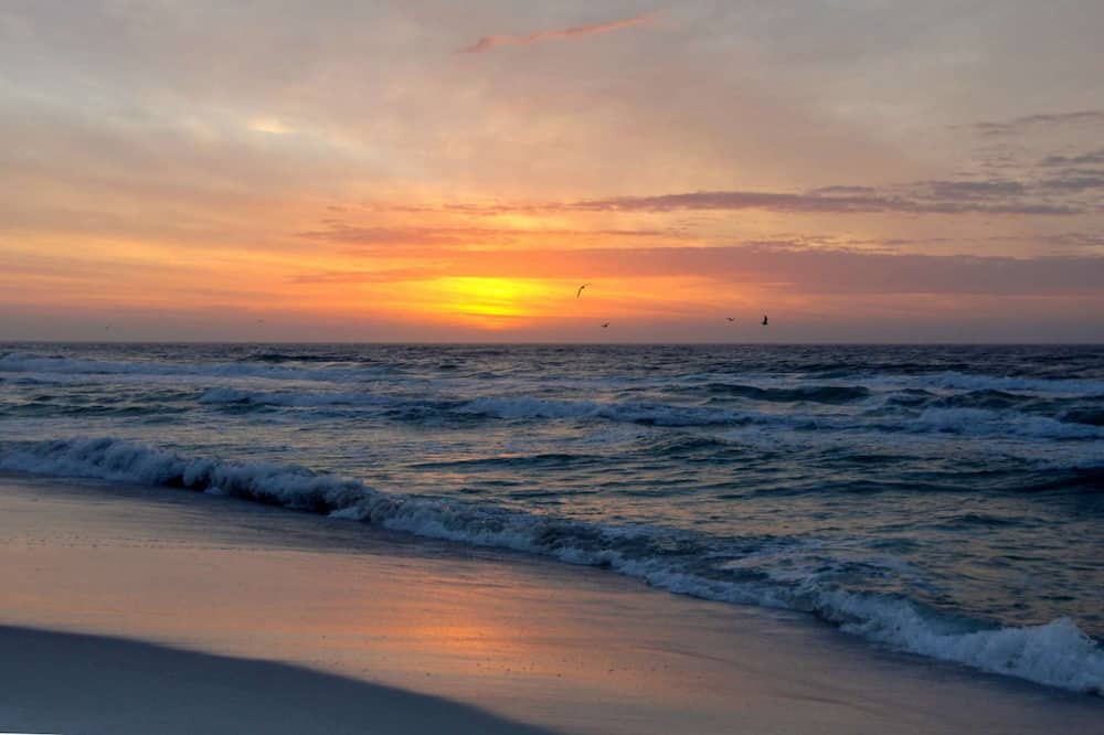 Photo of Others in Panama City