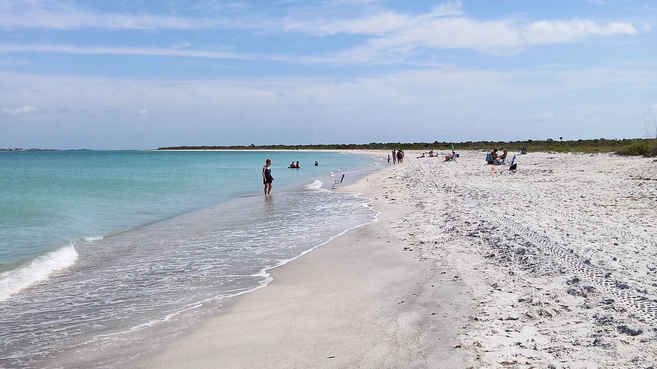 Photo of Others in Pine Island Center