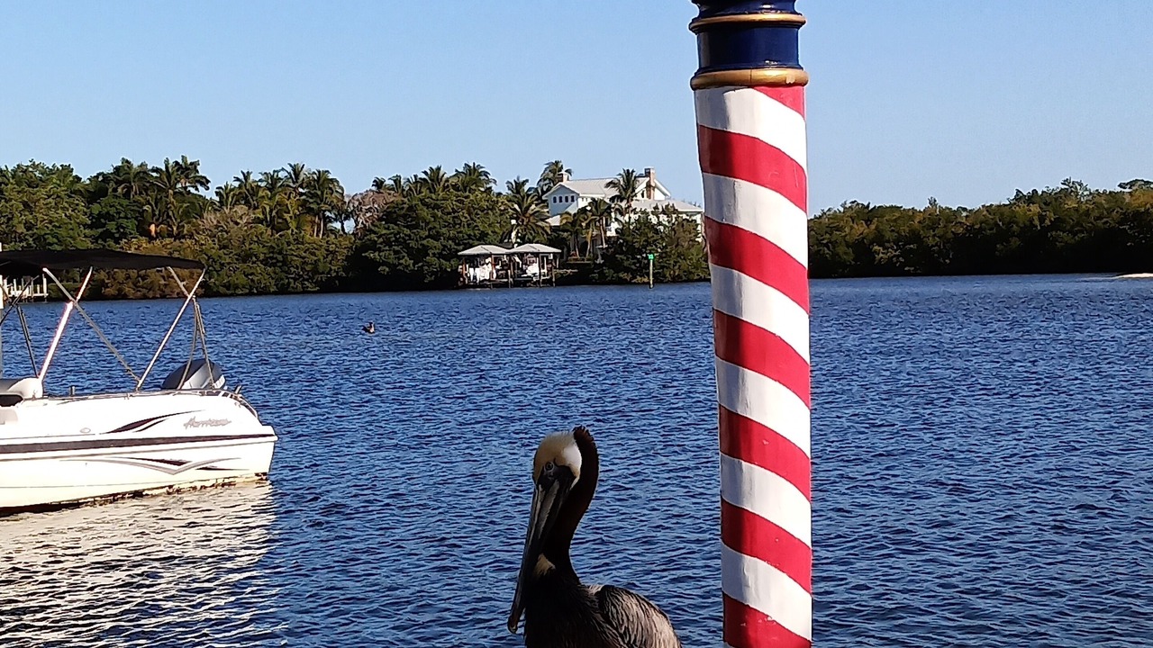Photo of Others in Pine Island Center