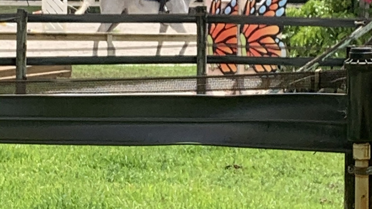 Photo of Outdoor in High Point