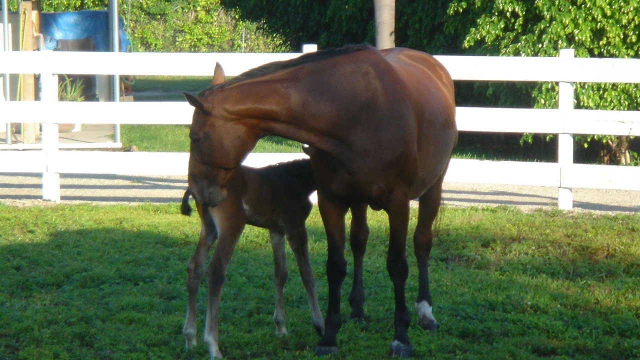 Photo of Outdoor in High Point