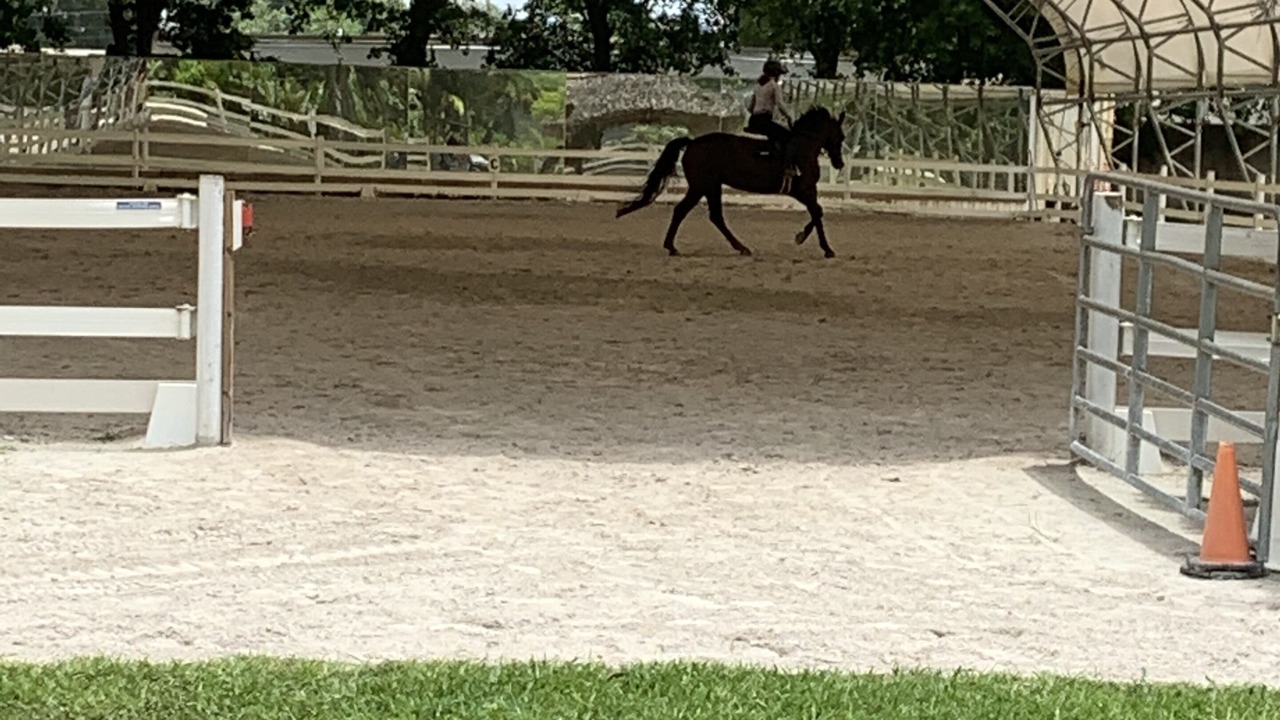 Photo of Outdoor in High Point