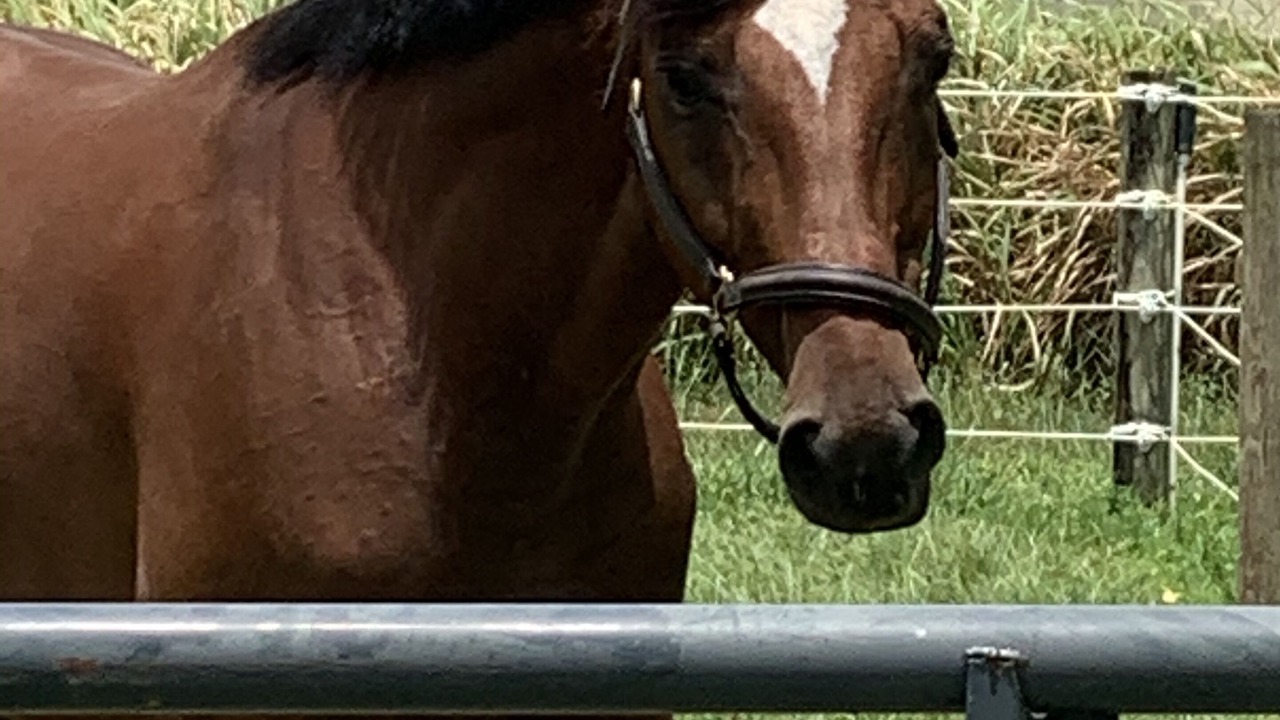 Photo of Outdoor in High Point
