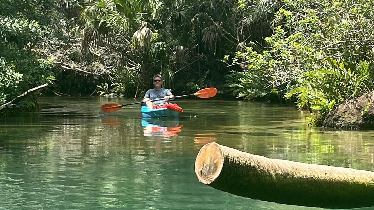 Photo of Others in Weeki Wachee Gardens