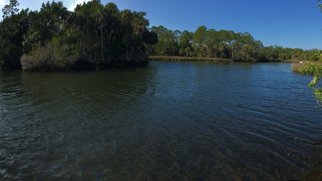 Photo of Others in Weeki Wachee Gardens