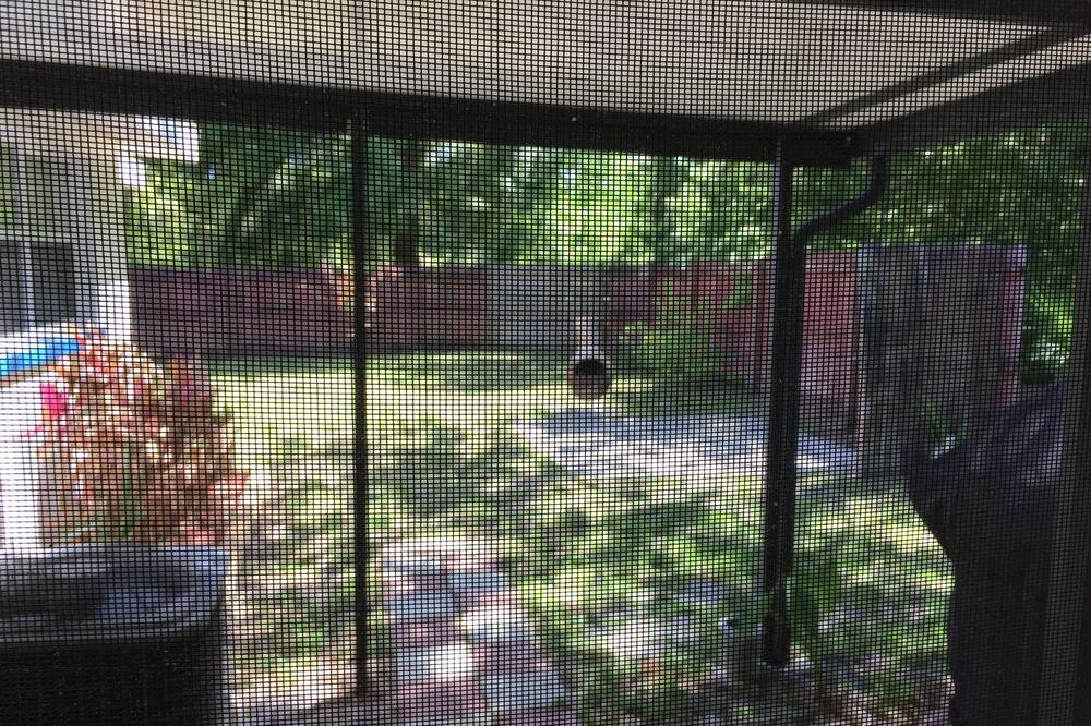 Photo of Others in Gulf Coast Acres