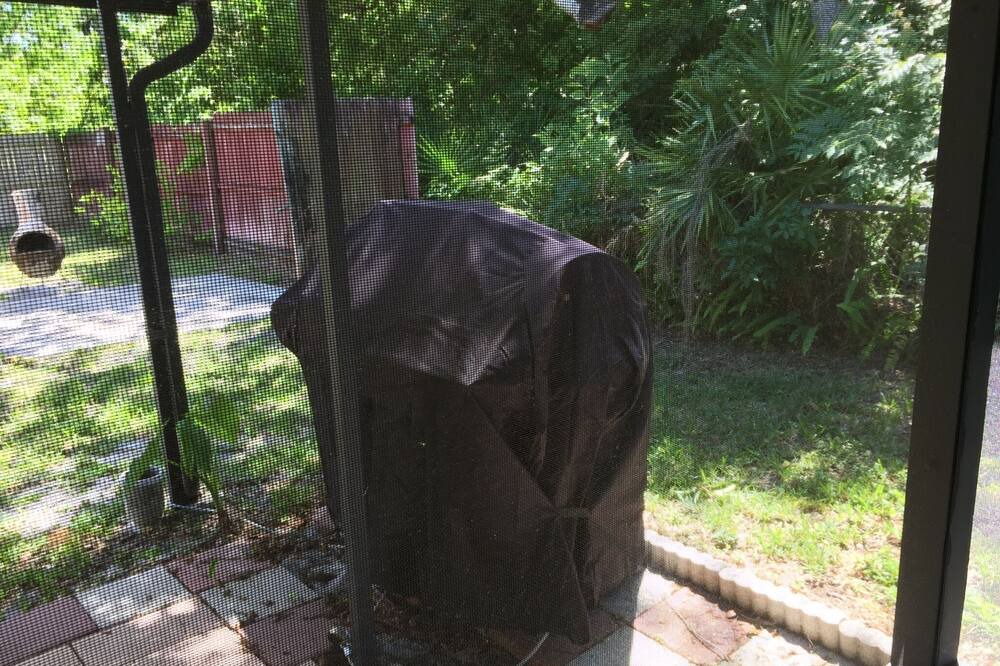 Photo of Outdoor in Gulf Coast Acres