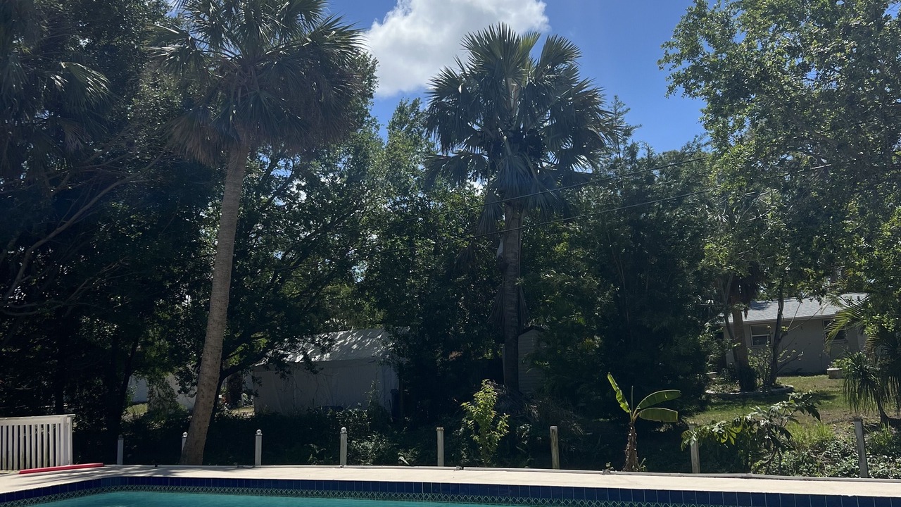 Photo of Outdoor in Laurel