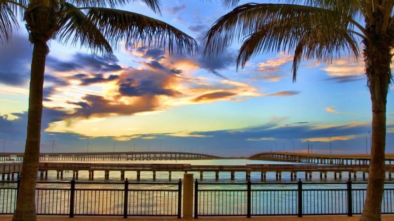 Photo of Outdoor in Charlotte Harbor