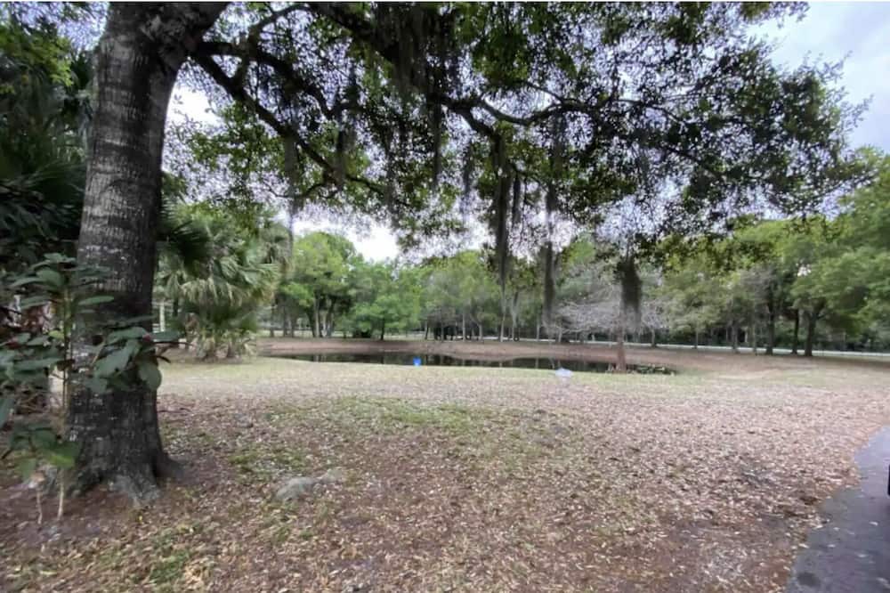 Photo of Outdoor in Palm City