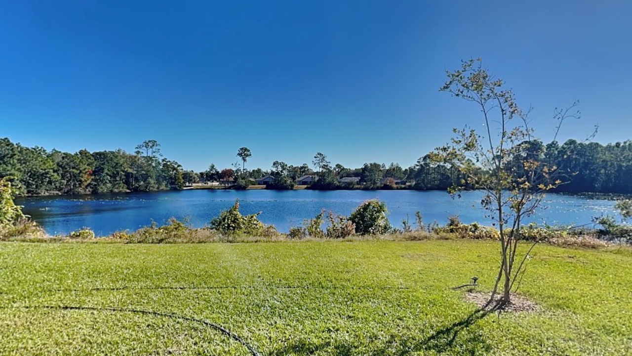 Photo of Others in Palm Harbor