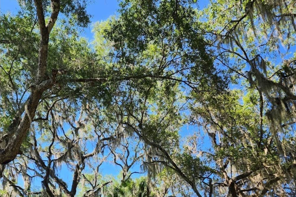 Photo of Outdoor in Bell