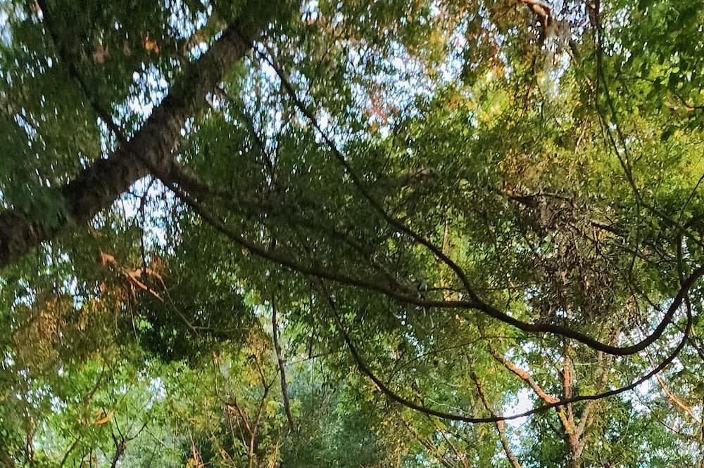 Photo of Outdoor in Bell