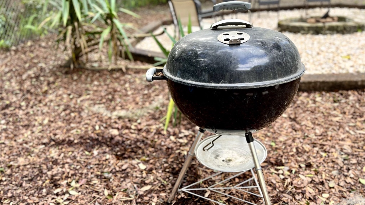 Photo of Outdoor in Gainesville