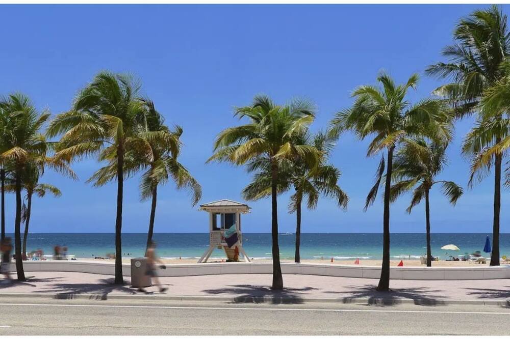 Photo of Others in Hendricks and Venice Isles