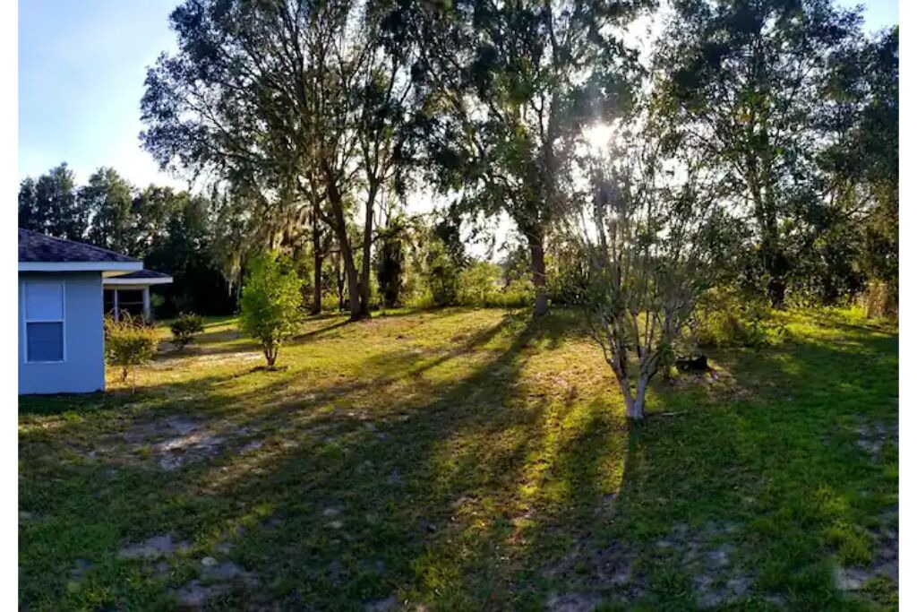 Photo of Outdoor in Candler