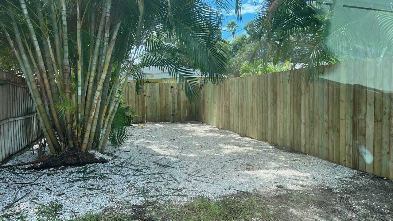 Photo of Outdoor in St. Petersburg - Clearwater