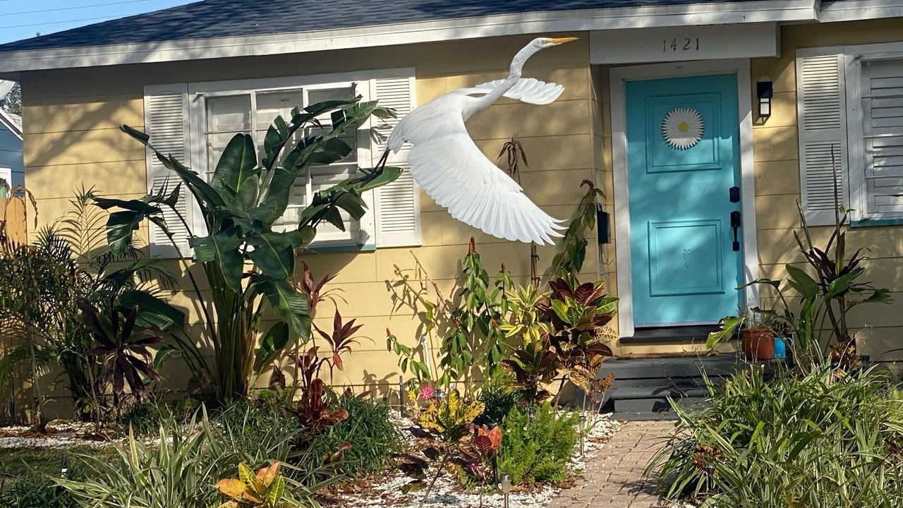 Photo of Outdoor in St. Petersburg - Clearwater