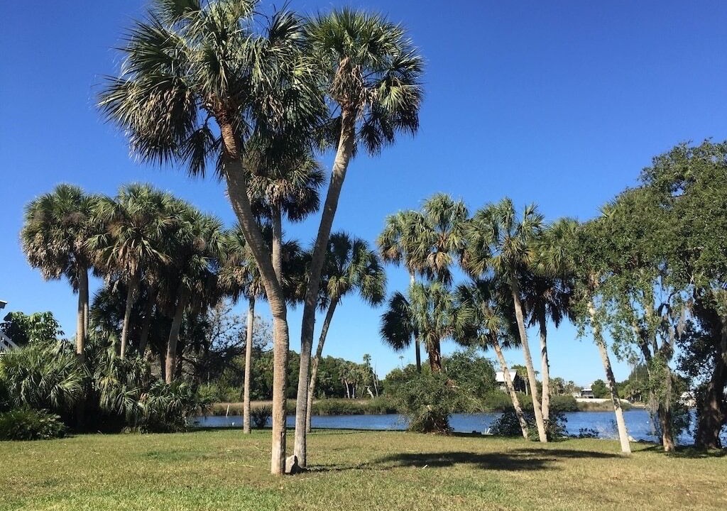 Photo of Outdoor in Aripeka