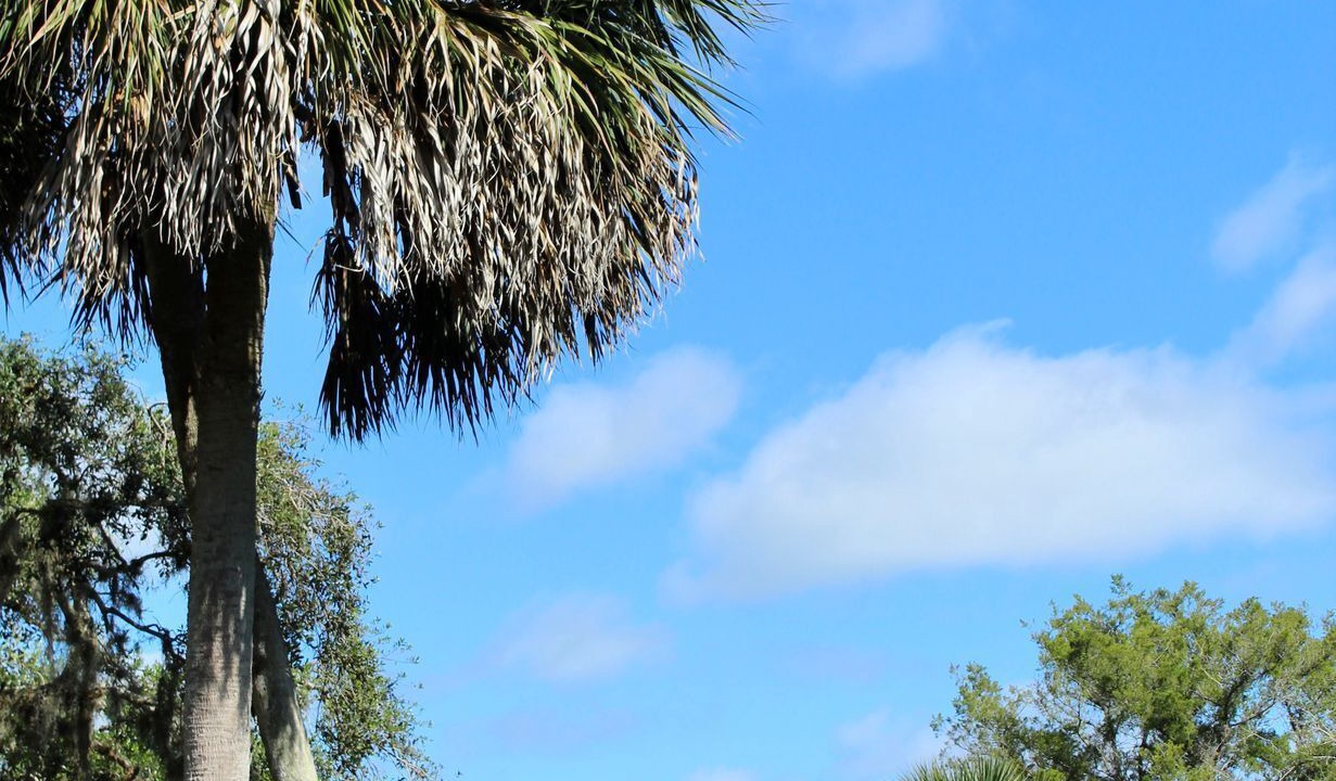 Photo of Outdoor in Aripeka