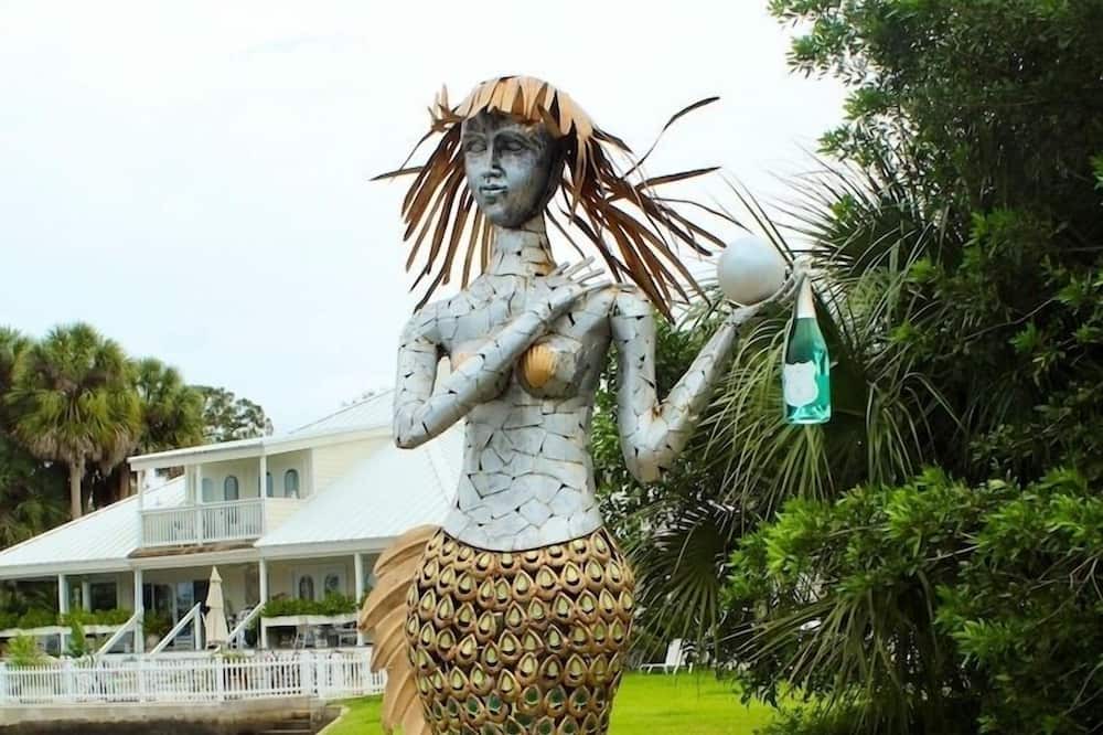 Photo of Outdoor in Aripeka