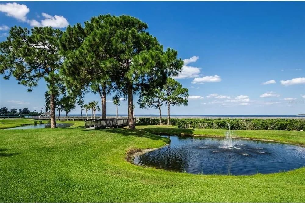 Photo of Outdoor in Tarpon Springs