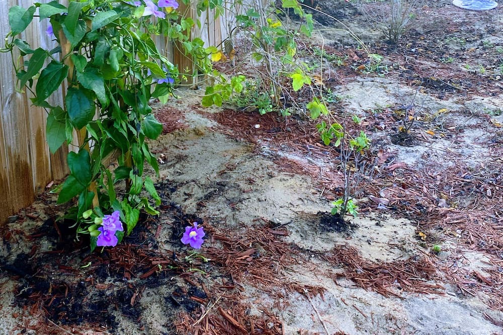 Photo of Outdoor in Lehigh Acres