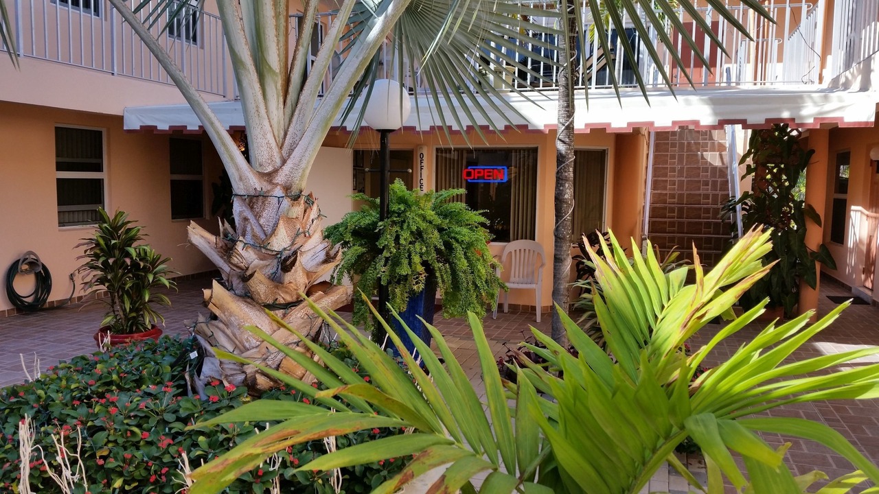 Photo of Patio Balcony in Mango Groves