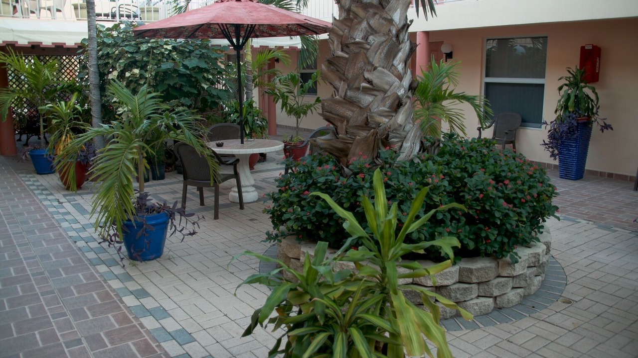 Photo of Outdoor in Mango Groves