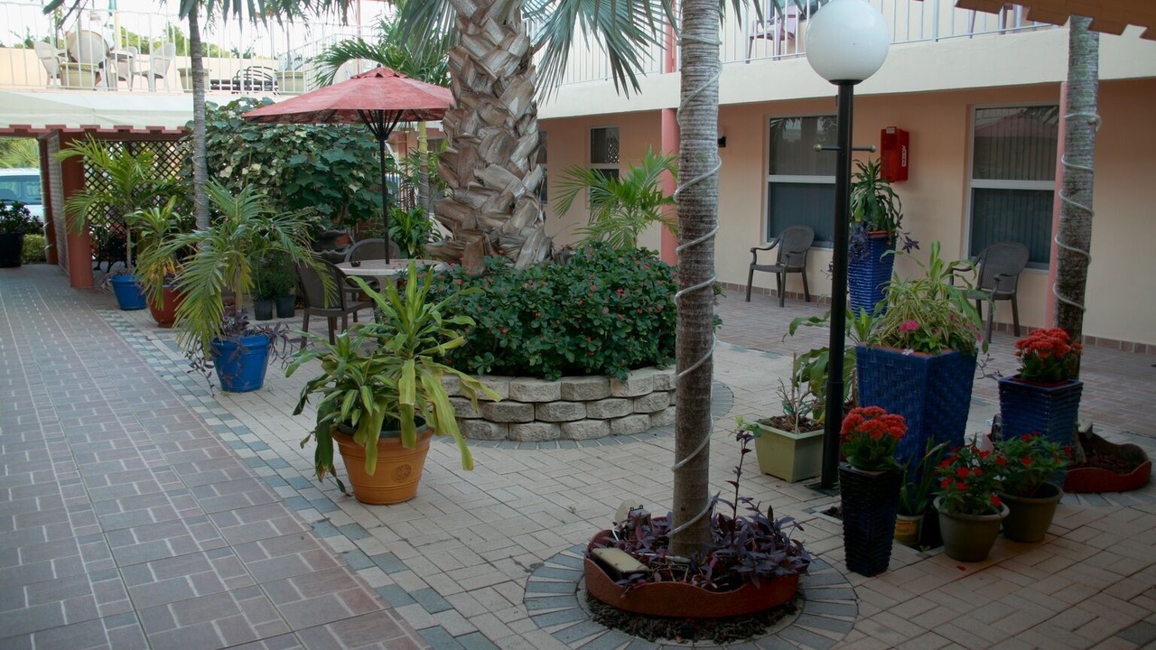 Photo of Outdoor in Mango Groves