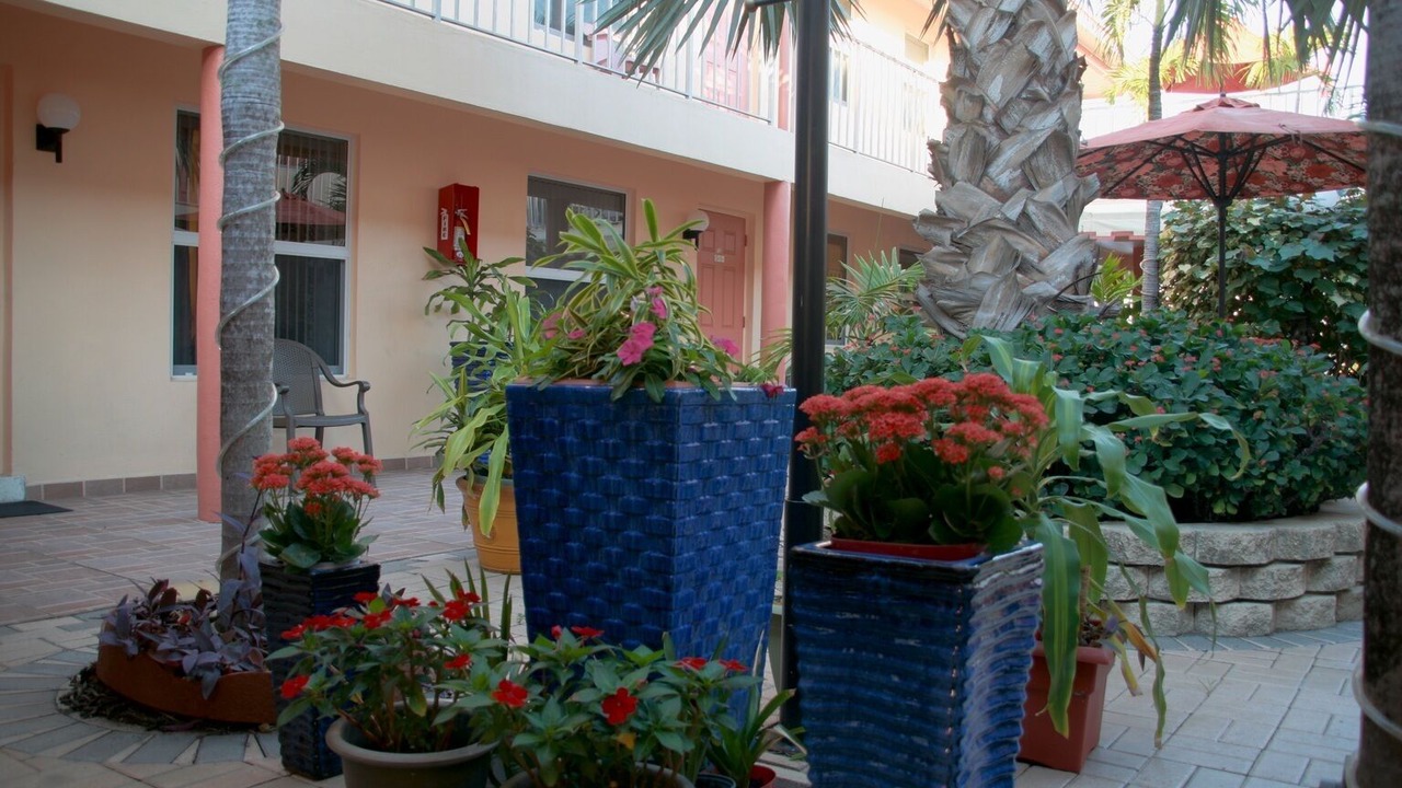 Photo of Outdoor in Mango Groves