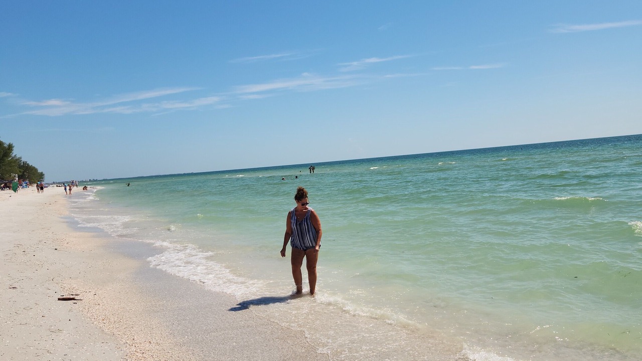 Photo of Others in Charlotte Harbor