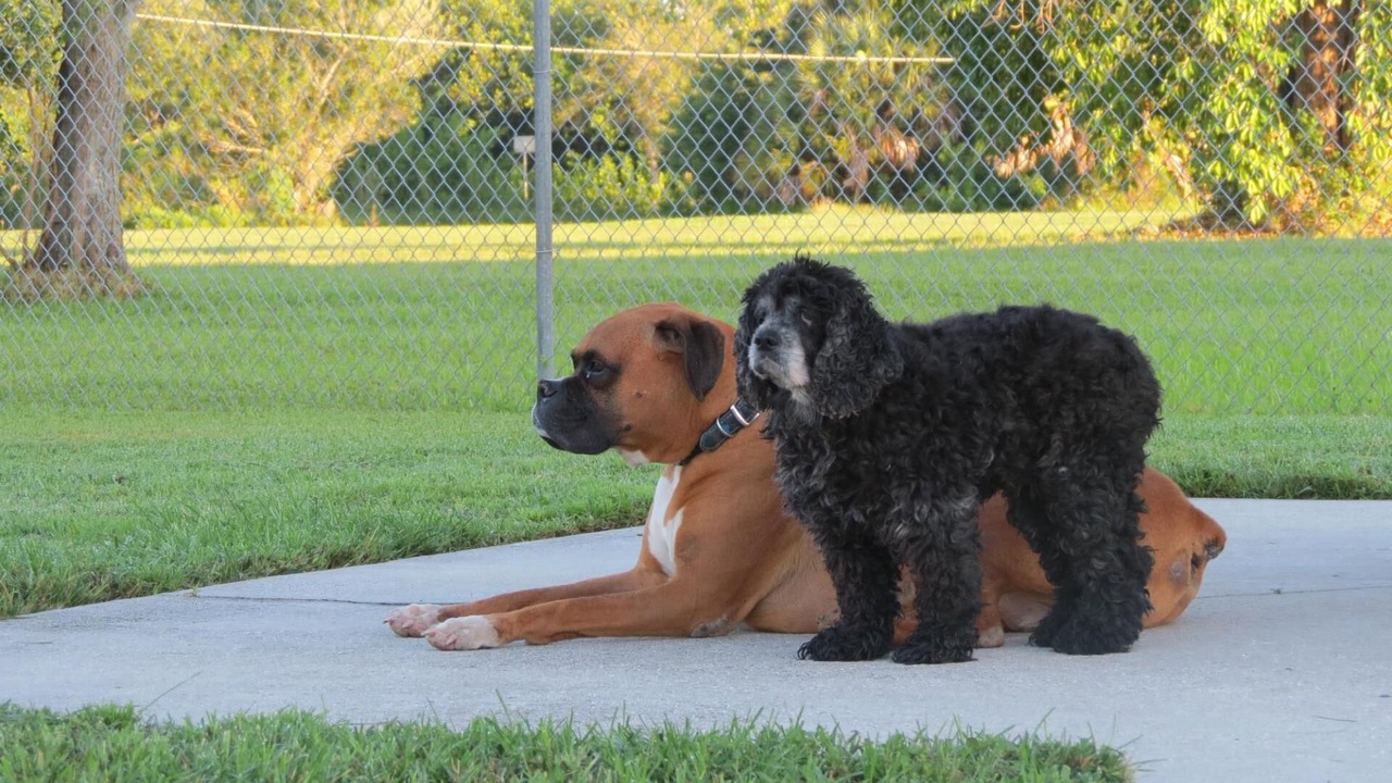 Photo of Outdoor in Charlotte Harbor