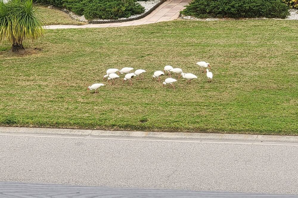 Photo of Others in Memphis