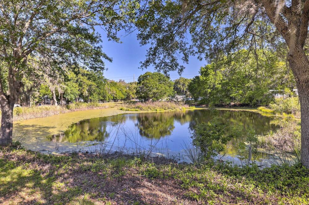 Photo of Outdoor in Valrico
