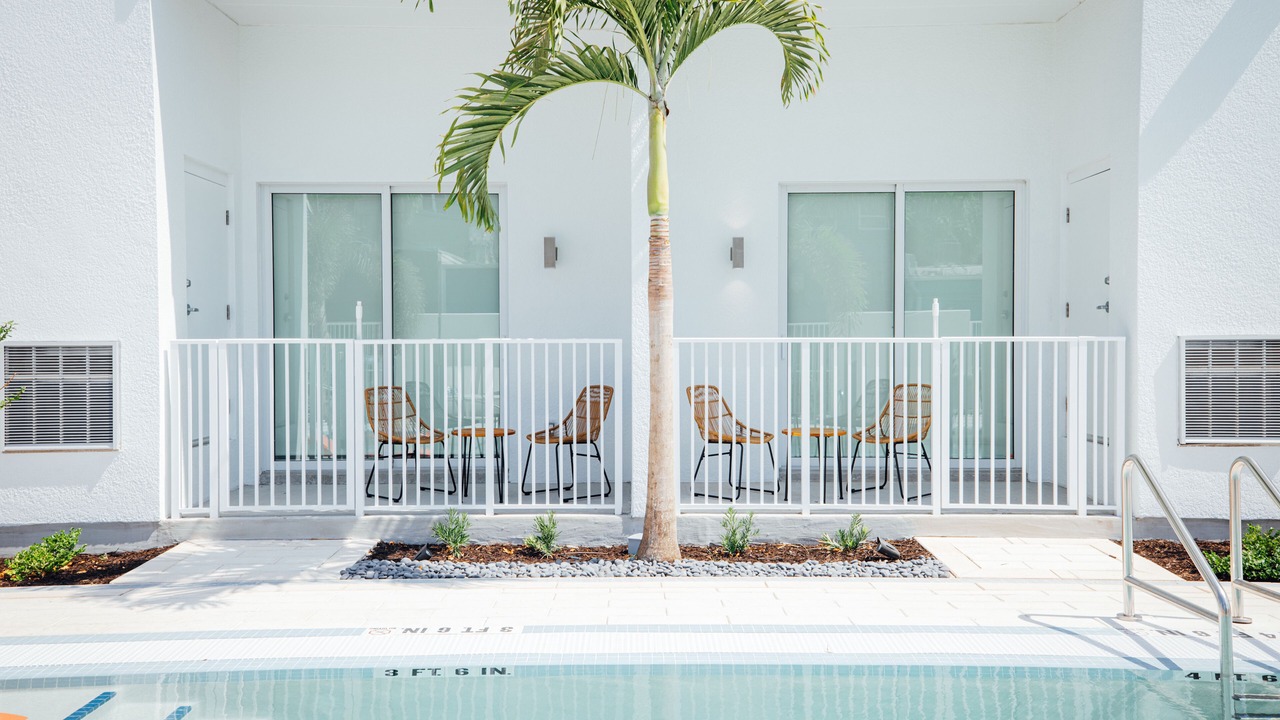 Photo of Outdoor in St. Petersburg - Clearwater