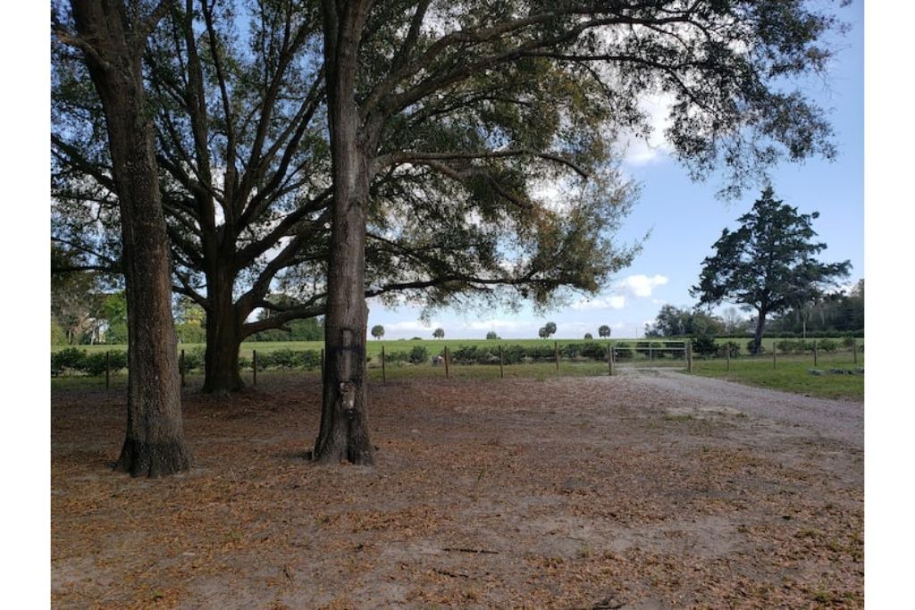 Photo of Others in Weirsdale