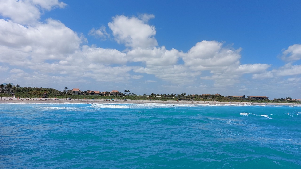 Photo of Others in North River Shores