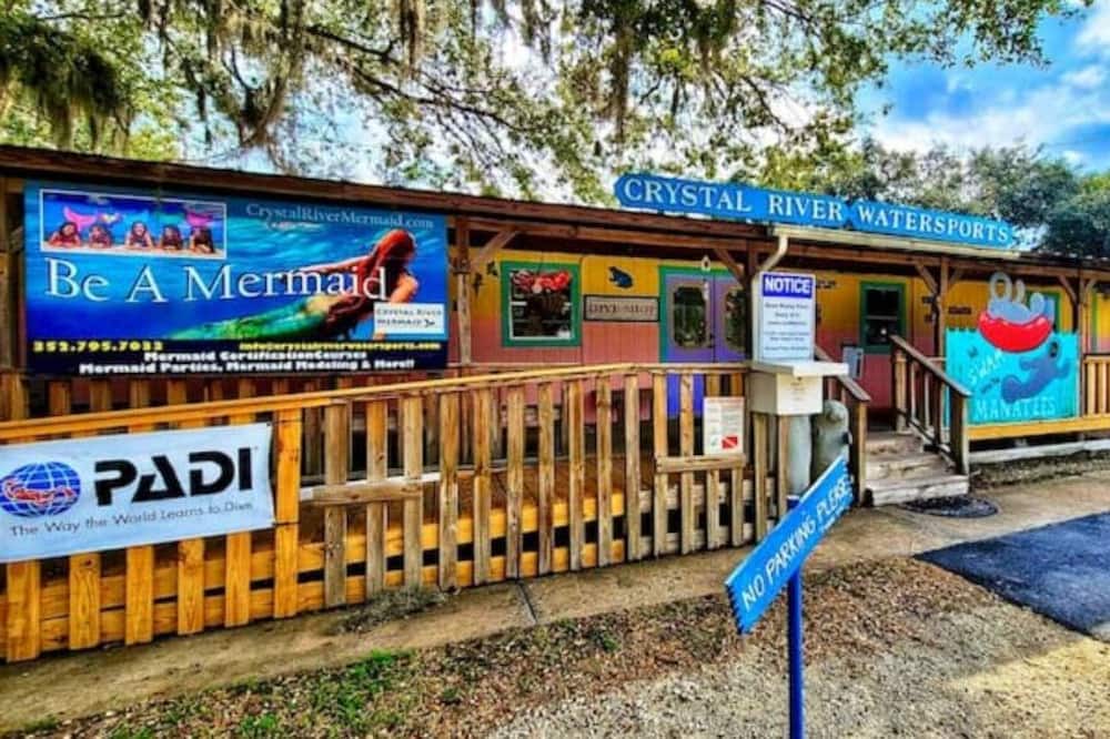 Photo of Others in Crystal River
